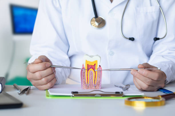 Best Emergency Dental Extractions in Seth Ward, TX